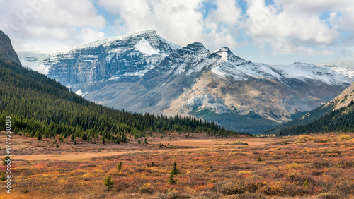 Autumn colors at the Sunwapta Pass on the Icefields Parkway - Banff National Park - view towards the Columbia Icefield glaciers