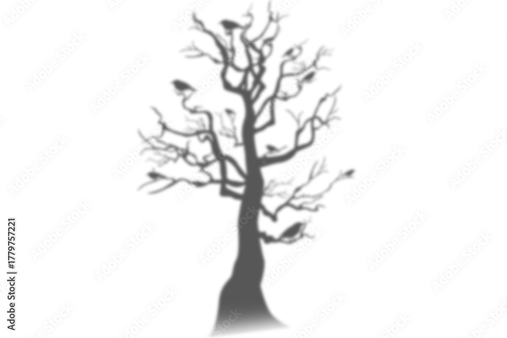 Fototapeta premium Natural bare tree shadow overlay on transparent background realistic mockup spooky branch silhouette effect sunshine autumn outdoor forest park wood element