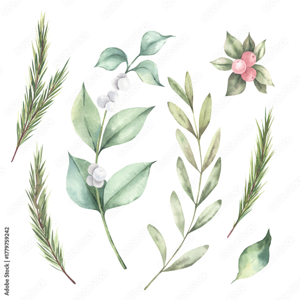 Fototapeta premium Watercolor hand-painted set of a winter evergreen plants, fir branches, olive twig, snowberry stems. Isolated elements on a white background. For winter compositions, invitations, floral arrangements.