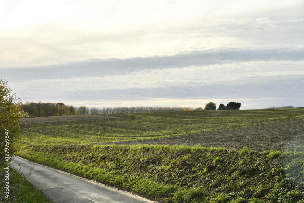 Fototapeta premium Nuages en couches en fin de journée sur un paysage rural à Écaussinnes-Lalaing (Soignies)