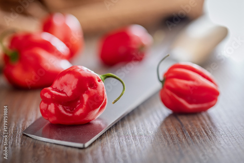 Fototapet Red chili pepper habanero on knife on wooden table.