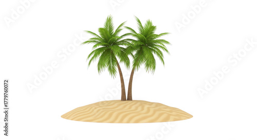 Palm tree isolated on transparent background