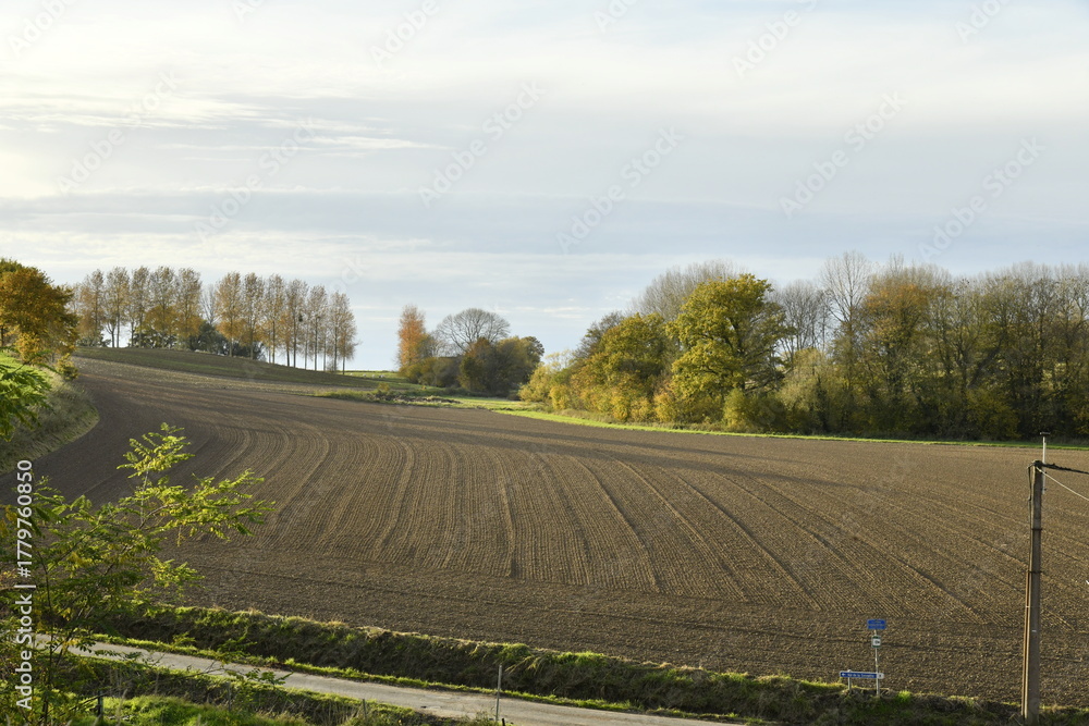 Fototapeta premium Champ fraichement labouré en automne en fin de journée à Écaussinnes d'Enghien (Soignies)