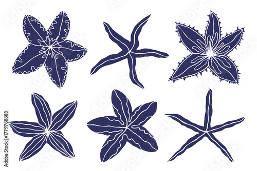 A collection of stamps, aquatic animal silhouettes, and decorative starfish. Vector graphics.
