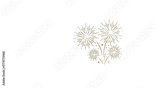 Delicate hand drawn line art illustration of abstract bursting fireworks on a clean white background