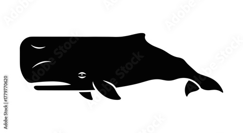Sperm Whale Silhouette Illustration on White Background.