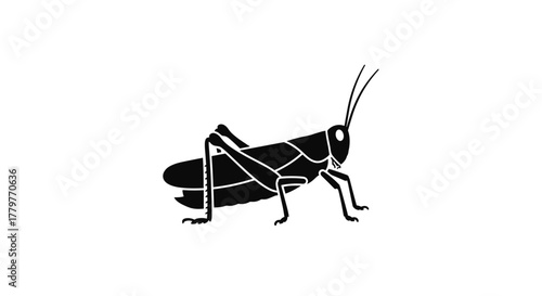 Grasshopper Silhouette A Detailed Vector Illustration of an Insect.