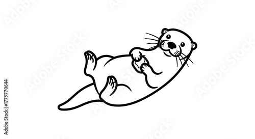 Playful otter relaxing on its back looking at the viewer.