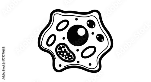 Simple Black and White Illustration of an Animal Cell.