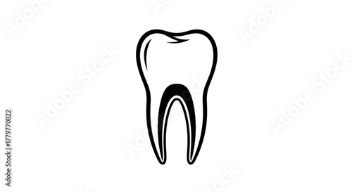 Detailed Black and White Illustration of a Human Tooth.
