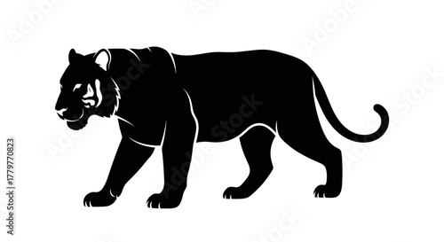Black Panther Silhouette Walking Majestic Wild Animal.