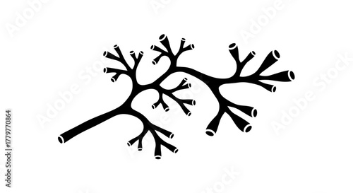 Stylized Black and White Plant Illustration with Open Ends.