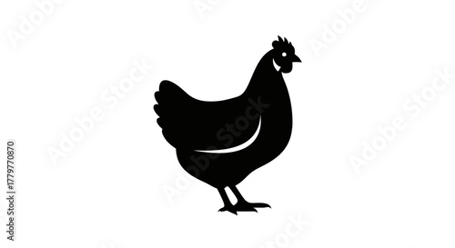 Black Silhouette of a Chicken Standing on a White Background.