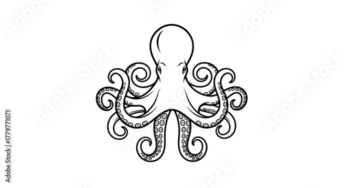 Detailed HandDrawn Octopus Illustration on White Background.