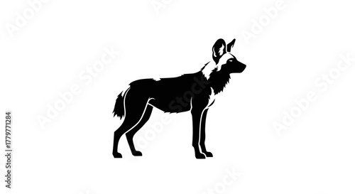 African wild dog silhouette standing against a white background.