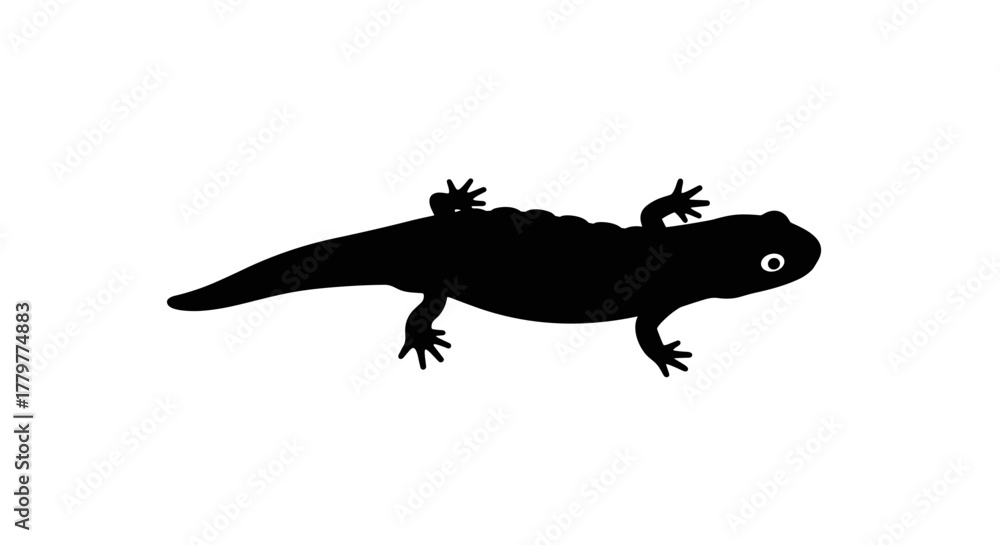 Fototapeta premium Black silhouette of a salamander with a white eye on a white background.