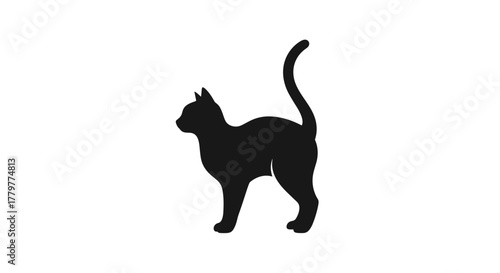 Silhouette of a Black Cat Standing with Tail Upright.
