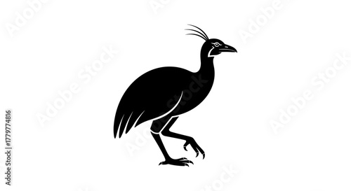 Black silhouette of a cassowary bird walking isolated on a white background side view.