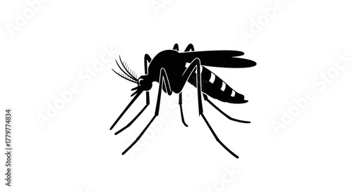 Silhouette of a Mosquito on White Background.