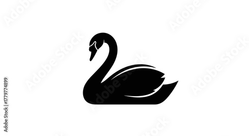 Elegant Black Swan Silhouette on White Background.