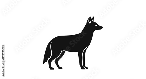 Silhouette of a Standing Jackal with Focused Gaze.