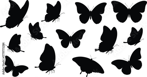 Butterfly silhouette collection, black insect shapes, wing pattern variations, nature design elements, vector illustration, isolated style, entomology reference, artistic concept