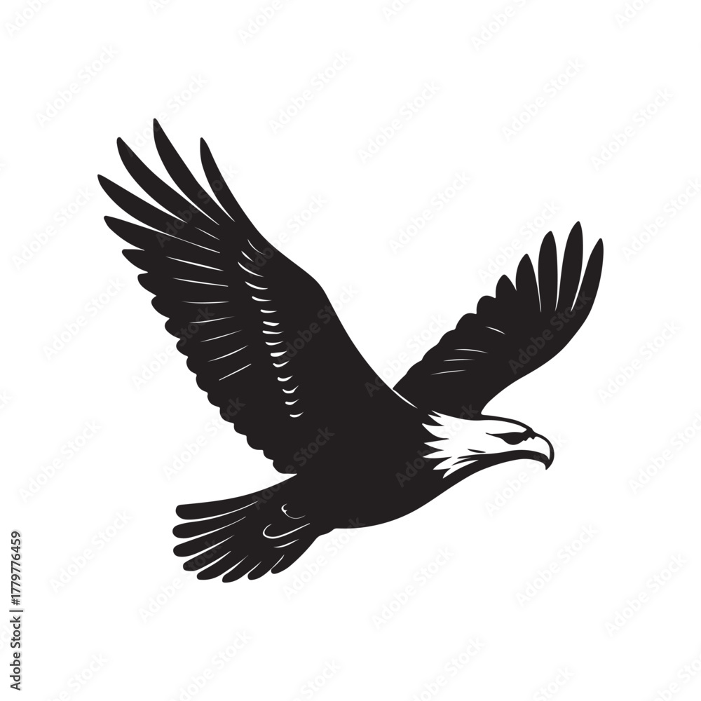 Obraz premium black eagle in flight