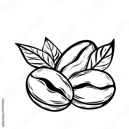 Black outline vector with three coffee beans and leaves in minimalist line art style. Perfect icon for cafe logo, packaging, or branding use.