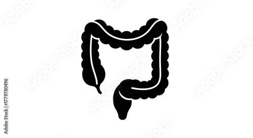 Colon Anatomy Icon Black Silhouette Vector Illustration.
