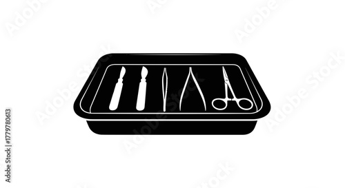Surgical Instruments in Tray Medical Tools for Procedures.