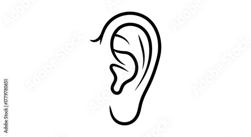 Detailed outline of human ear auditory organ hearing sense.
