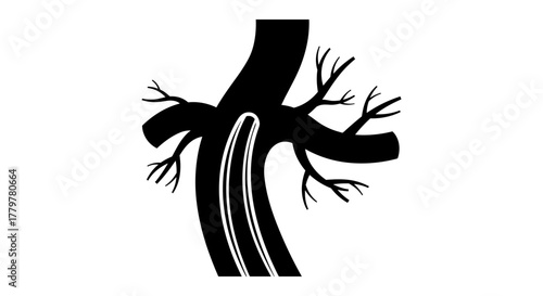 Illustration of a stylized human liver with bile ducts.