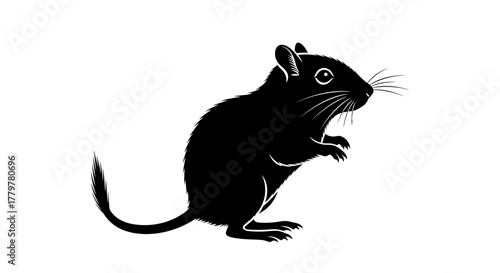 Black Silhouette of a Small Rodent Standing Upright.