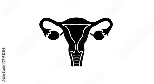 Uterus and ovaries icon black silhouette on white background.