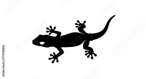 Black Silhouette of a Gecko Lizard on a White Background.