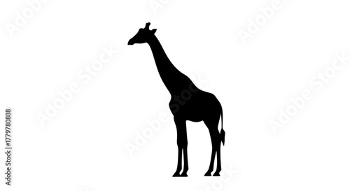 Silhouette of a tall giraffe standing proudly against a white background.