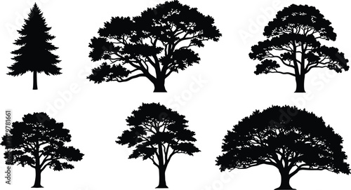 Silhouette of different tree shapes, black and white forest illustration, eco vector design, natural landscape elements, environmental nature artwork collection