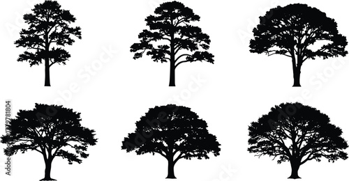 Silhouette of different forest trees, black and white nature illustration, eco vector design elements, natural environment art, isolated landscape graphic