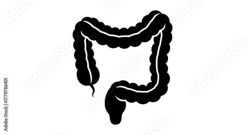 Human Colon Anatomy Silhouette Illustration.