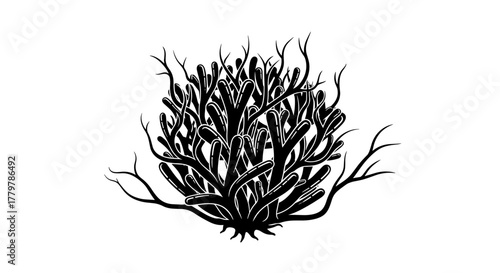Black silhouette illustration of a sea coral bush.