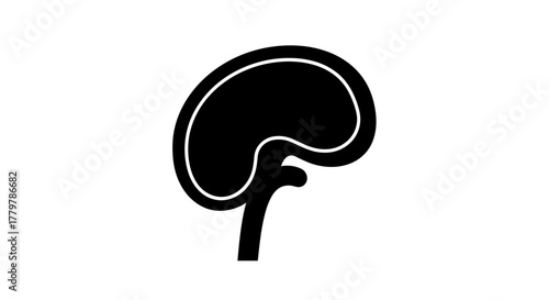 Stylized Kidney Illustration A Medical Icon in Black and White.