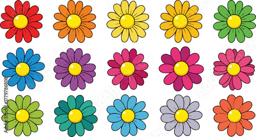 Colorful daisy flowers arranged on a black background