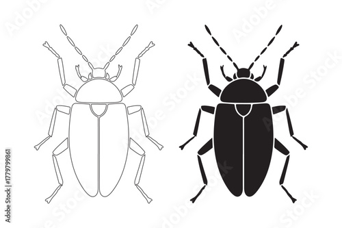 Black silhouette and outline drawing of a beetle insect