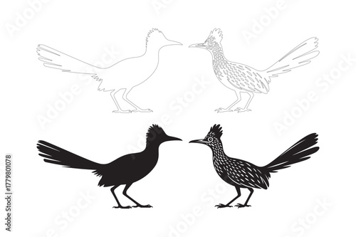 Two roadrunners silhouetted and outlined facing each other on white background