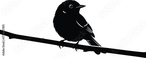 Small Songbird Perched on Bare Branch Silhouette - Nature Vector Art