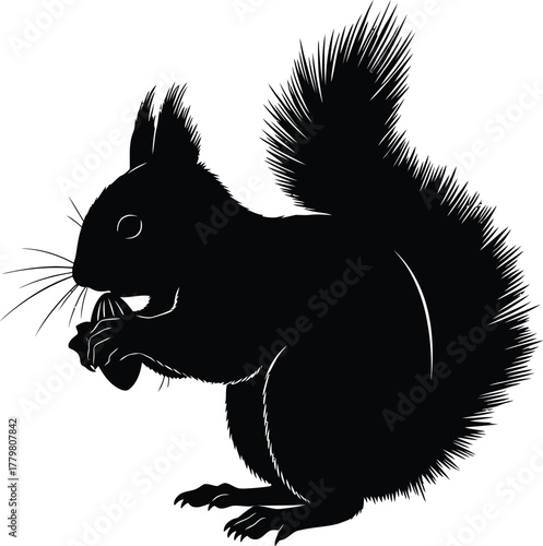 ai176237733545_squirrel-holding-nut-silhouette.eps