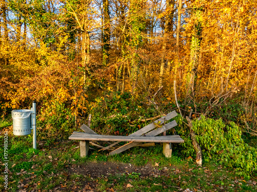 Foto Beschädigte Sitzbank am Waldrand