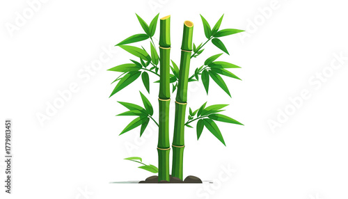Two green bamboo stalks stand tall with bright leaves sprouting. Set against a stark, black background