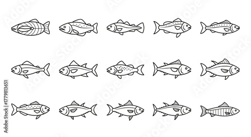 Collection of fifteen distinct outline illustrations of various fish species, presented on a clean white background, ideal for graphic design, web development, app interfaces, and advertising