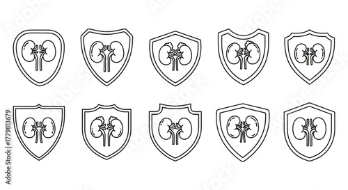 Set of ten different outline shield icons, each containing a stylized kidney symbol, representing healthcare, medical services, and organ protection. Ideal for graphic design, web applications